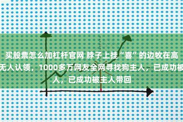 买股票怎么加杠杆官网 脖子上挂“喜”的边牧在高速服务区无人认领，1000多万网友全网寻找狗主人，已成功被主人带回
