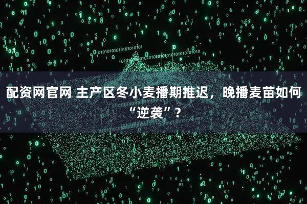 配资网官网 主产区冬小麦播期推迟，晚播麦苗如何“逆袭”？