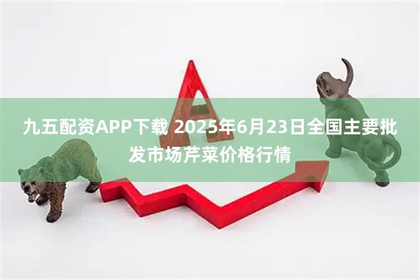 九五配资APP下载 2025年6月23日全国主要批发市场芹菜价格行情