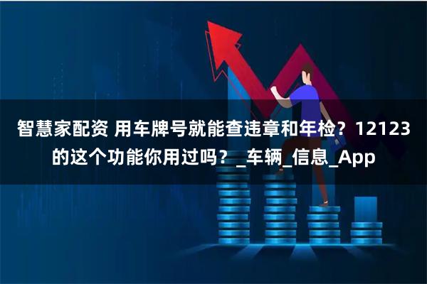 智慧家配资 用车牌号就能查违章和年检？12123的这个功能你用过吗？_车辆_信息_App