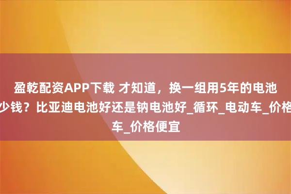 盈乾配资APP下载 才知道，换一组用5年的电池要多少钱？比亚迪电池好还是钠电池好_循环_电动车_价格便宜